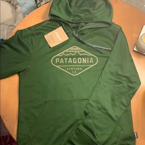 Patagonia Fitz Roy Crest PolyCycle Hoody
